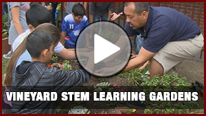 Vineyard STEM Learning Gardens 